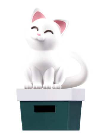 Kitty cat sitting on a box